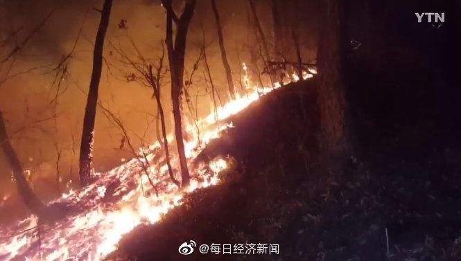 韩国山火造成的死亡人数达到16人